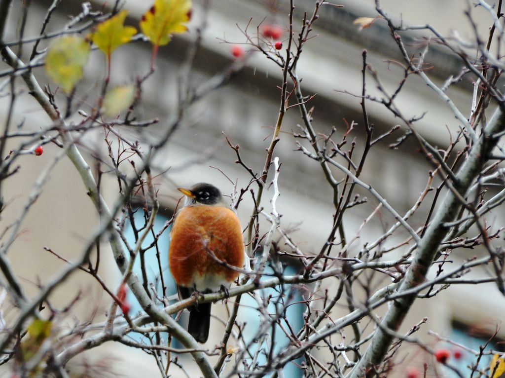 DSC_8757.jpg