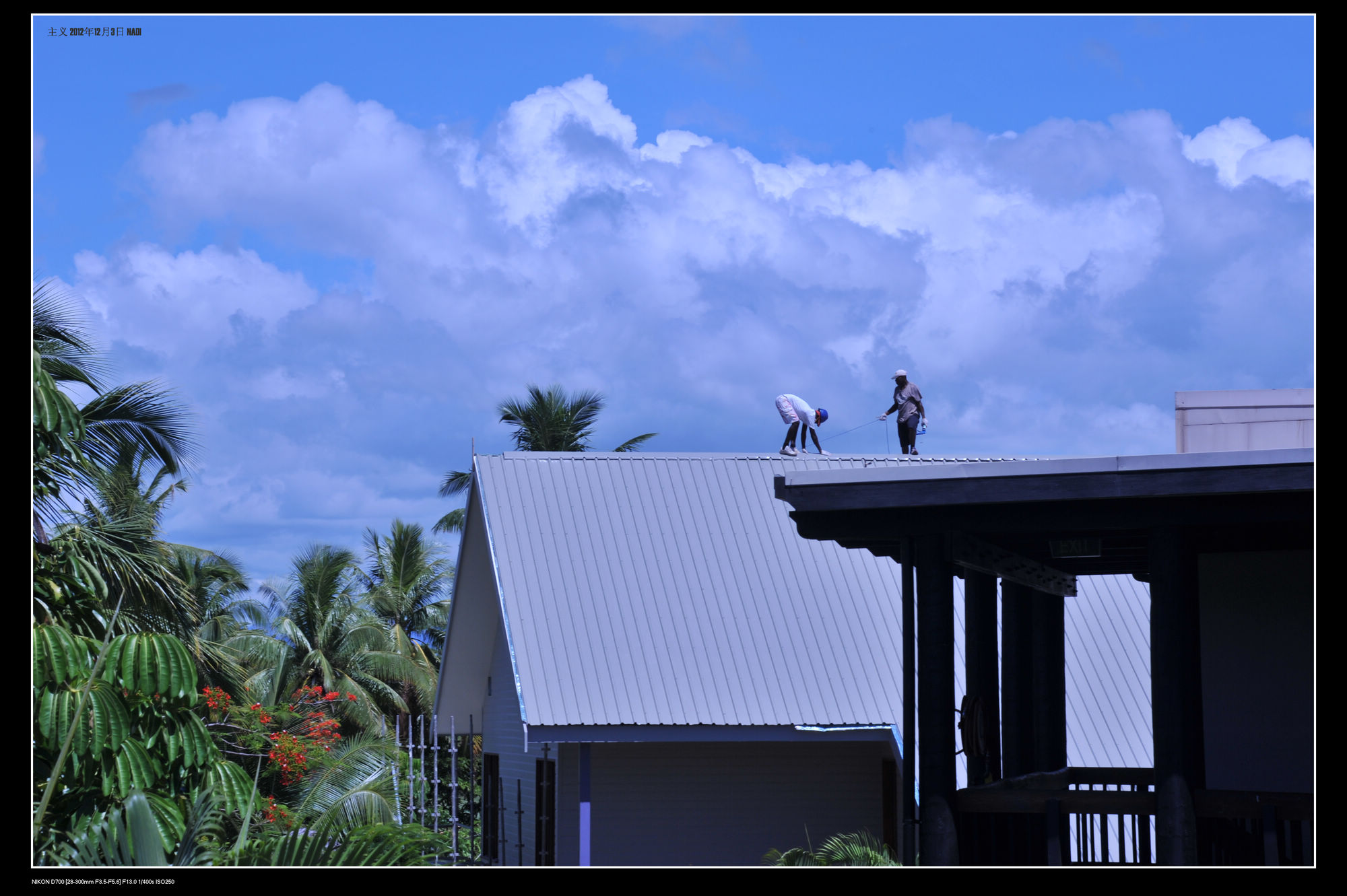DSC_6033.jpg