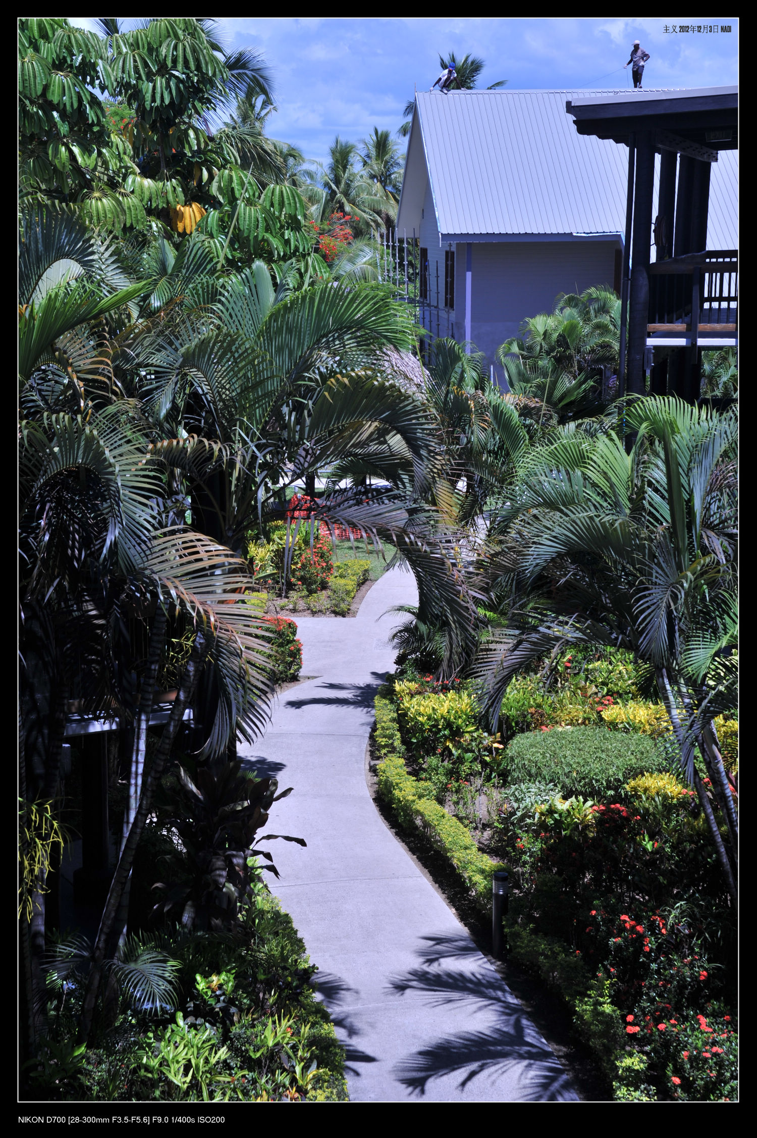 DSC_6034.jpg