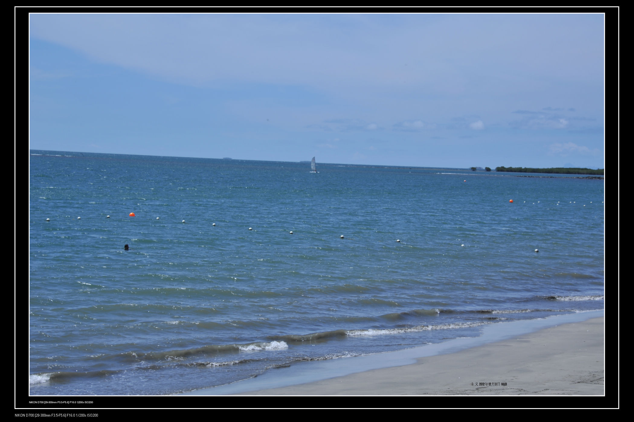 DSC_6046.jpg