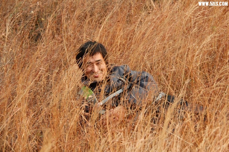 psb7.jpg