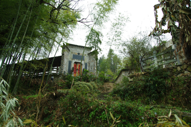 05.jpg