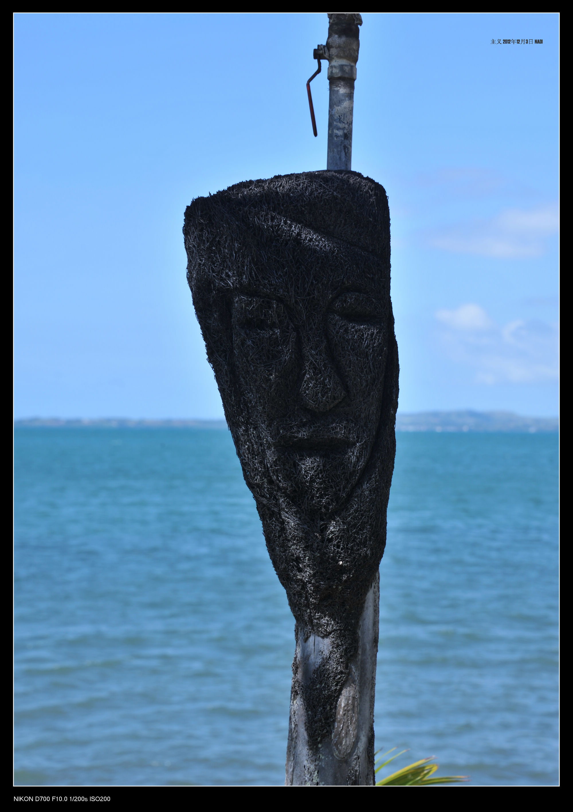 DSC_6095.jpg