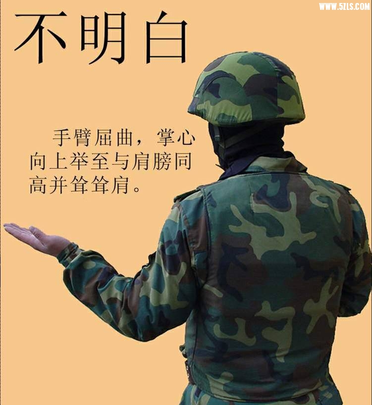 ͼƬ47.jpg