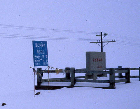 59.jpg