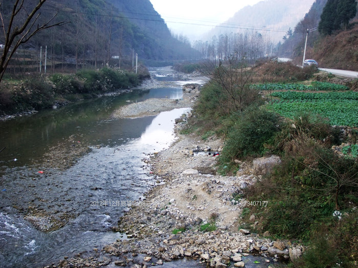 DSCF0396.JPG