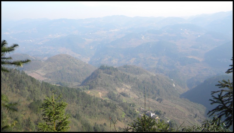 conew_Ƭ 019.jpg