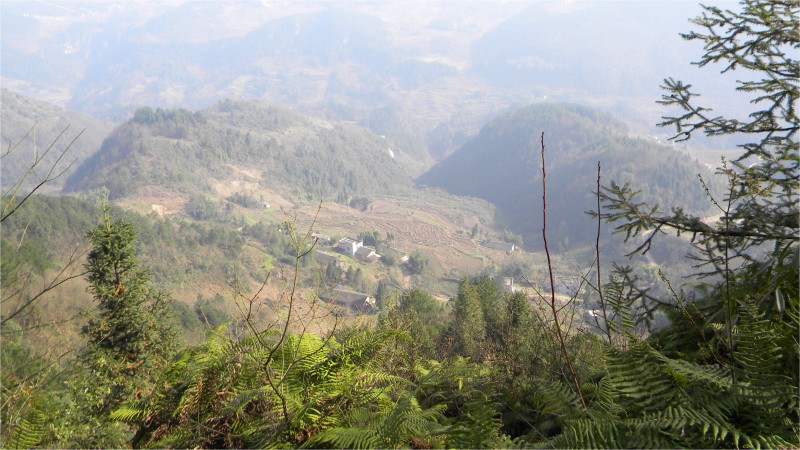 conew_Ƭ 020.jpg