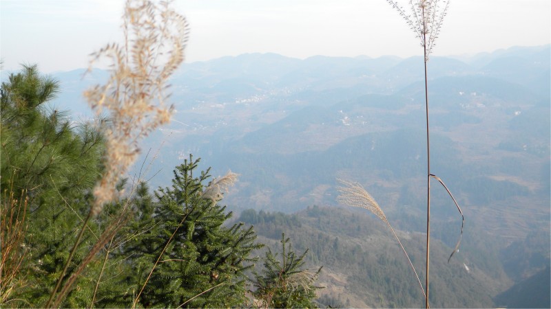 conew_Ƭ 024.jpg
