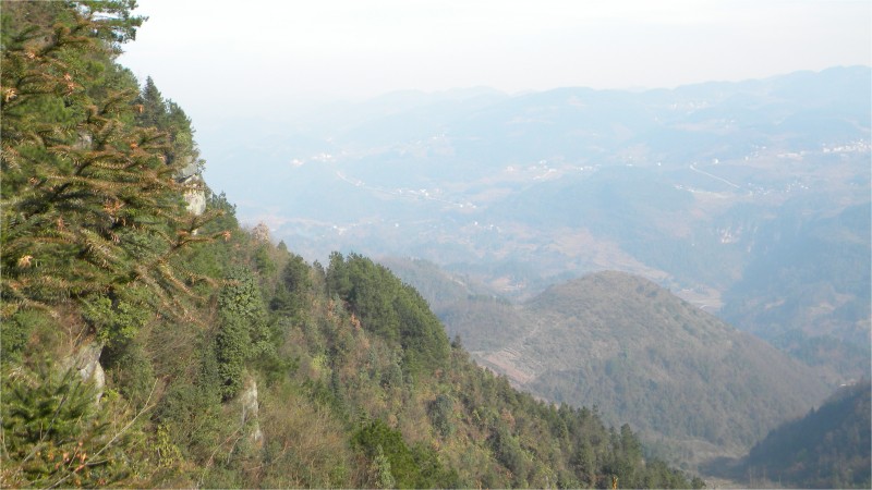 conew_Ƭ 028.jpg