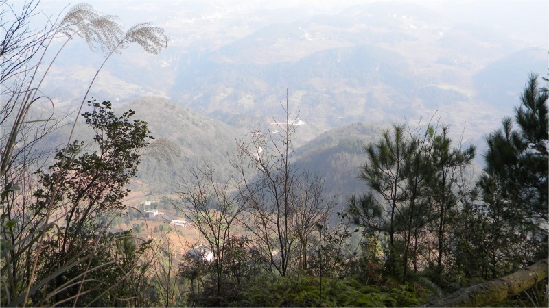 conew_Ƭ 033.jpg