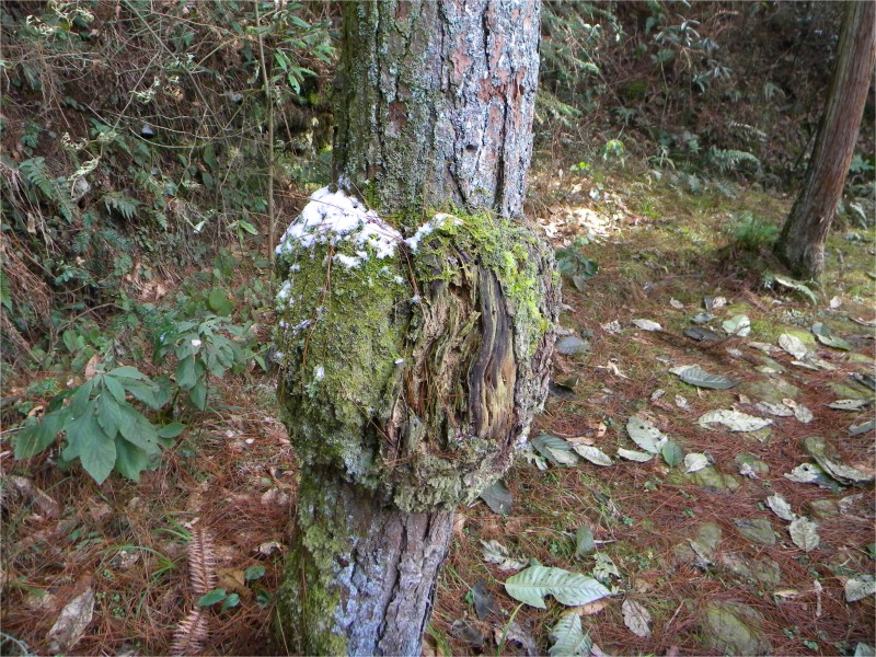 conew_Ƭ 053.jpg