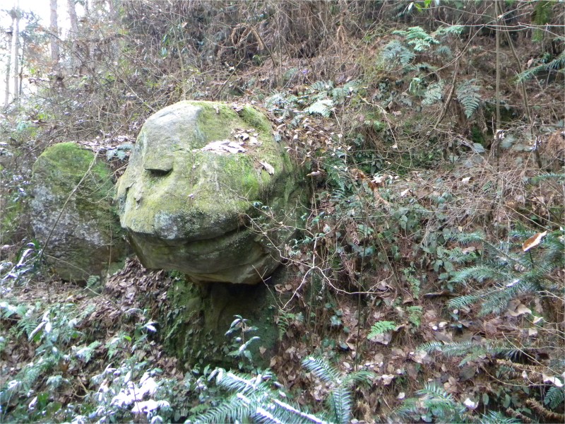 conew_Ƭ 054.jpg