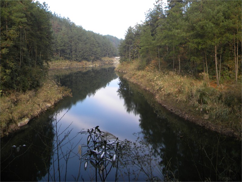 conew_Ƭ 057.jpg