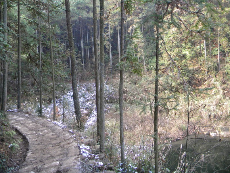 conew_Ƭ 058.jpg
