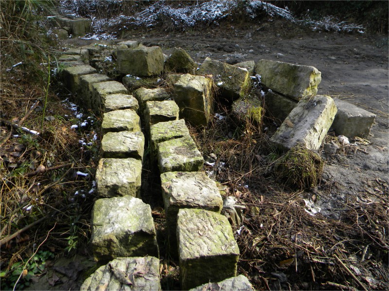 conew_Ƭ 056.jpg