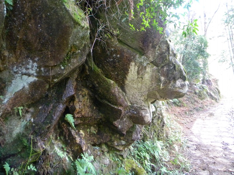conew_Ƭ 060.jpg