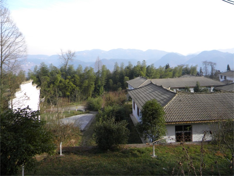 conew_Ƭ 068.jpg