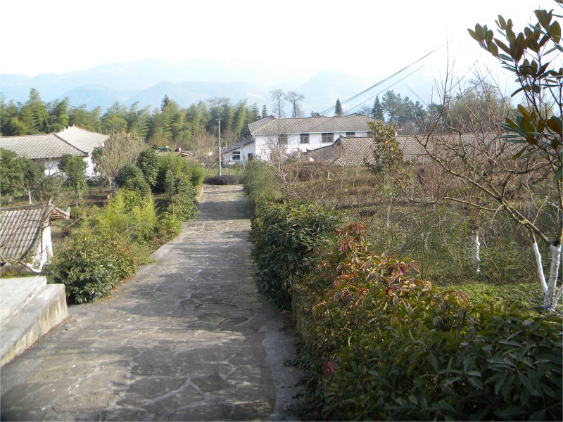 conew_Ƭ 071.jpg