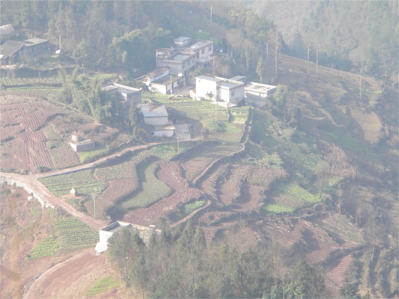 conew_Ƭ 075.jpg
