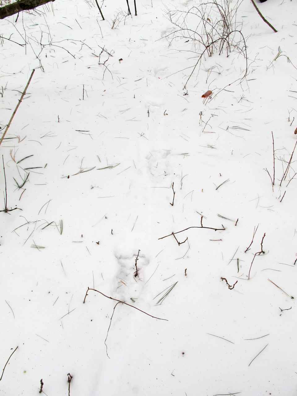 2013.1. 173.jpg