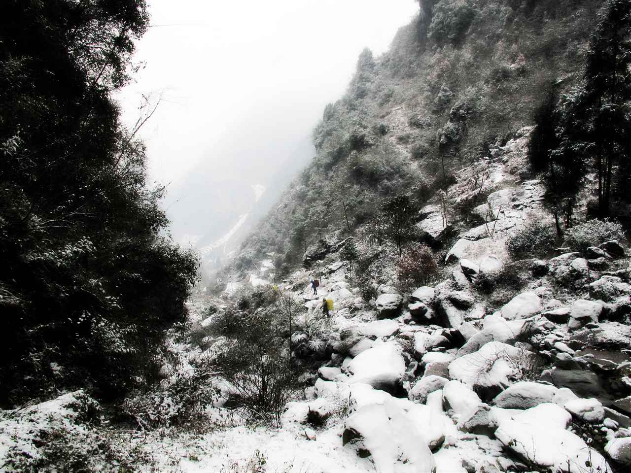 2013.1. 247.jpg