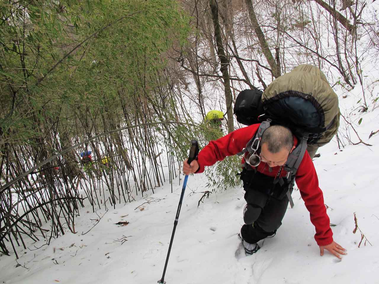 2013.1. 157.jpg