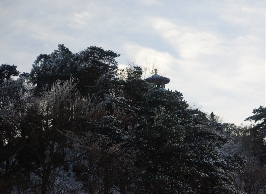 未命名03.jpg