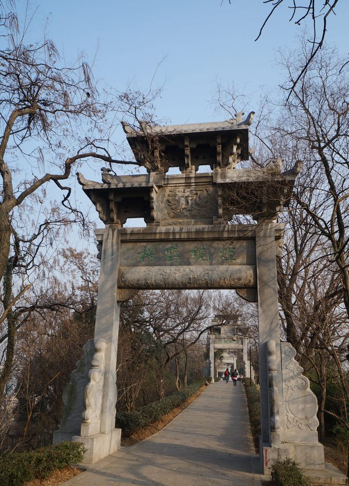 dsc09217.jpg