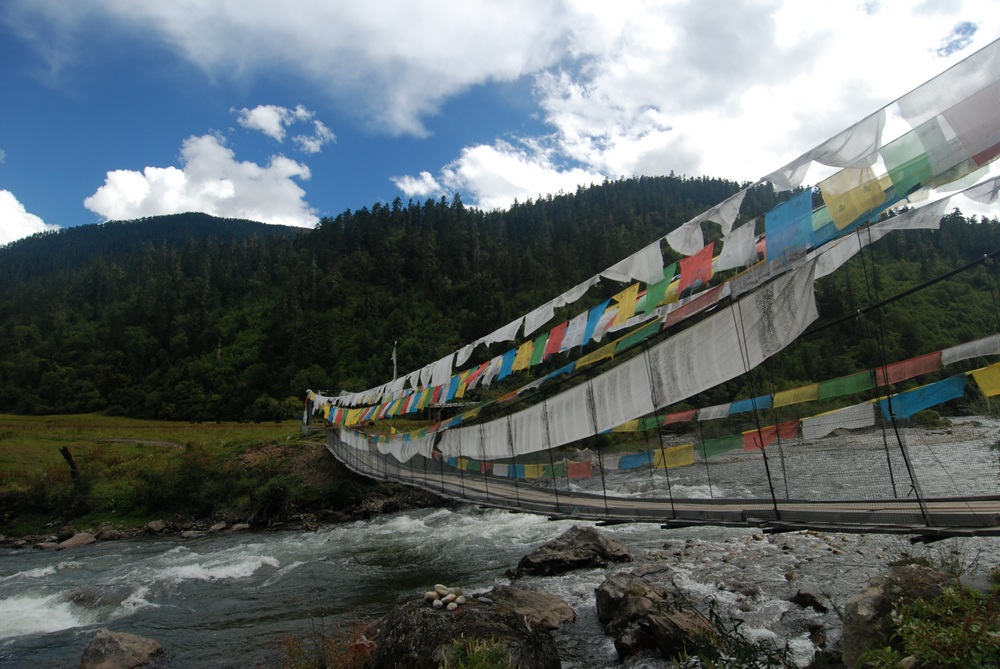 dsc_0322.jpg