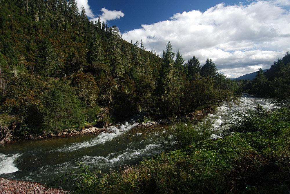dsc_0337.jpg