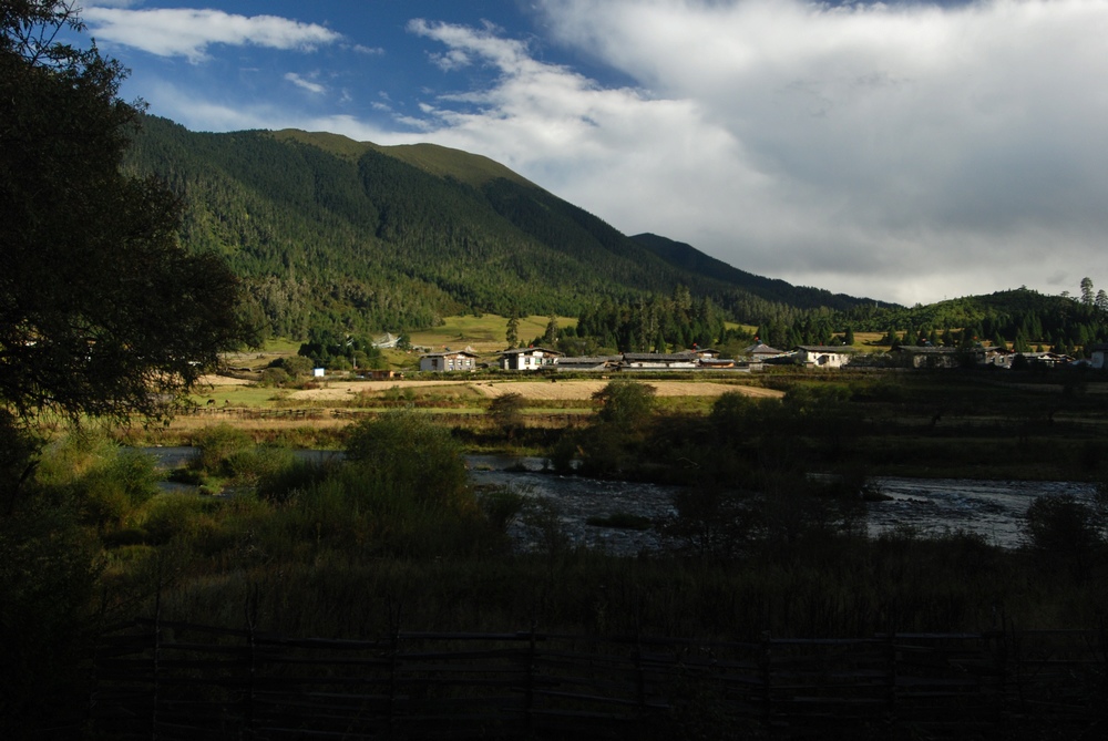 dsc_0376.jpg