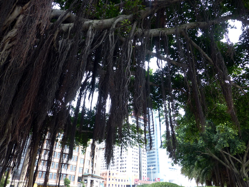 p1020149.jpg
