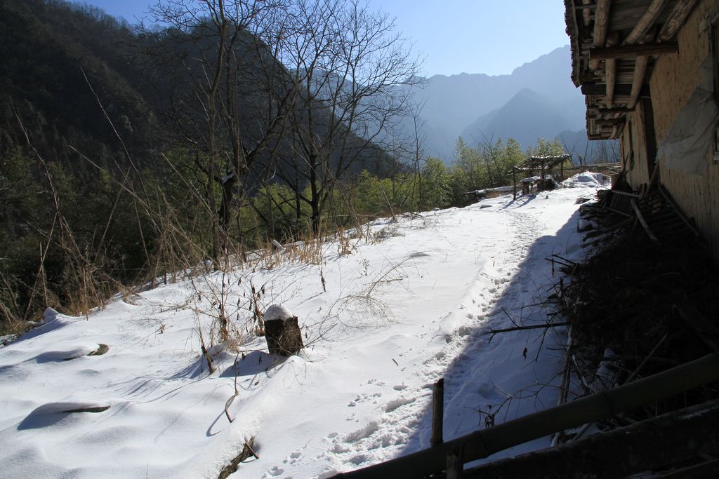 img_0080.jpg