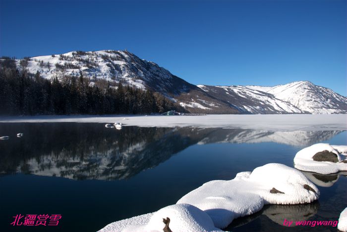 dsc_0188.jpg.1.jpg