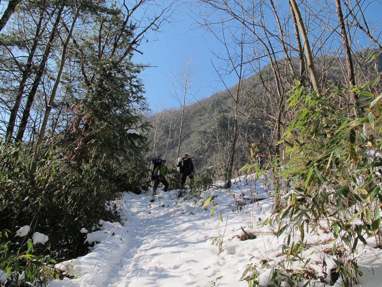 img_7357.jpg