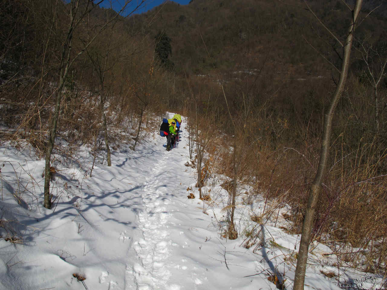 img_7370.jpg