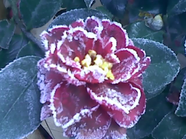 120101080226.jpg