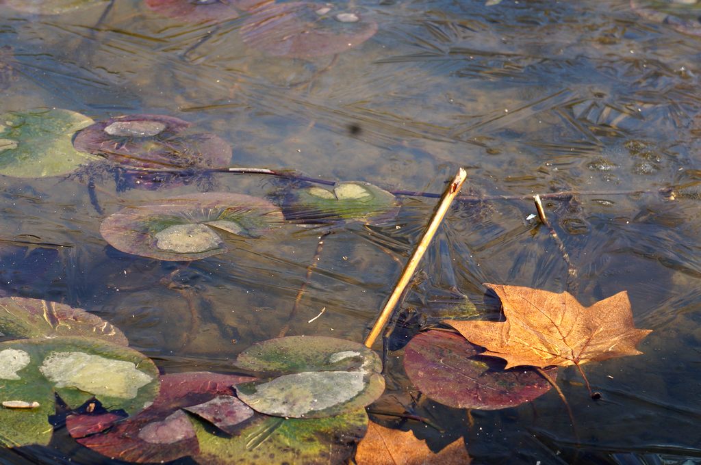 dsc08626.jpg