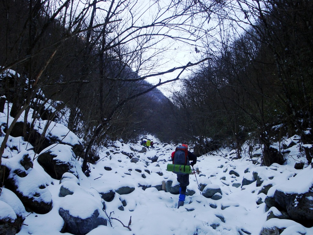 dsc06106_conew1.jpg