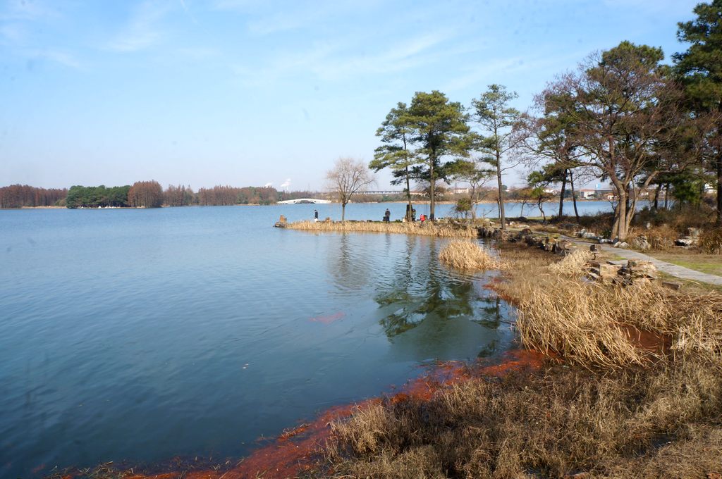 dsc08702.jpg