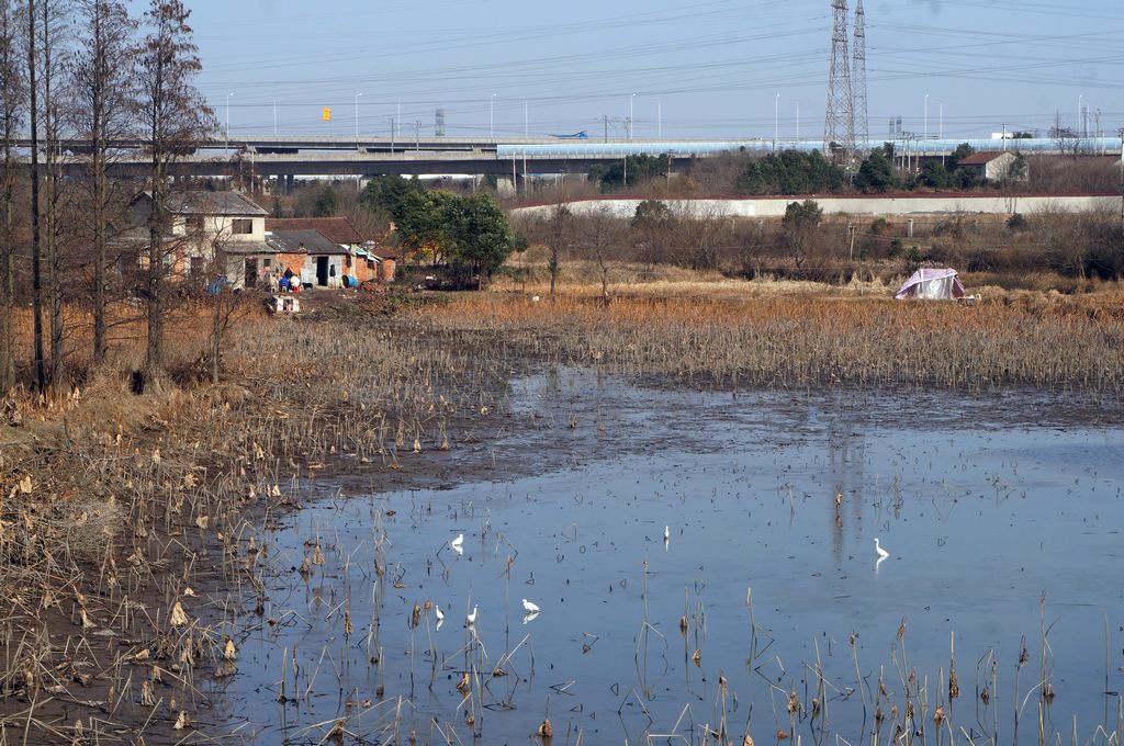 dsc08723.jpg