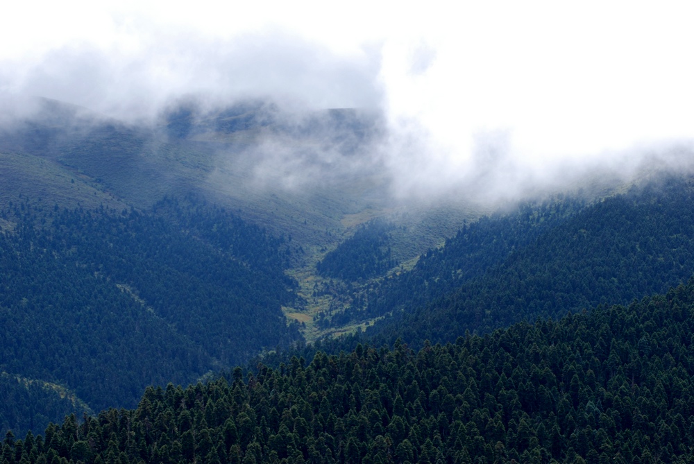 dsc_0484.jpg