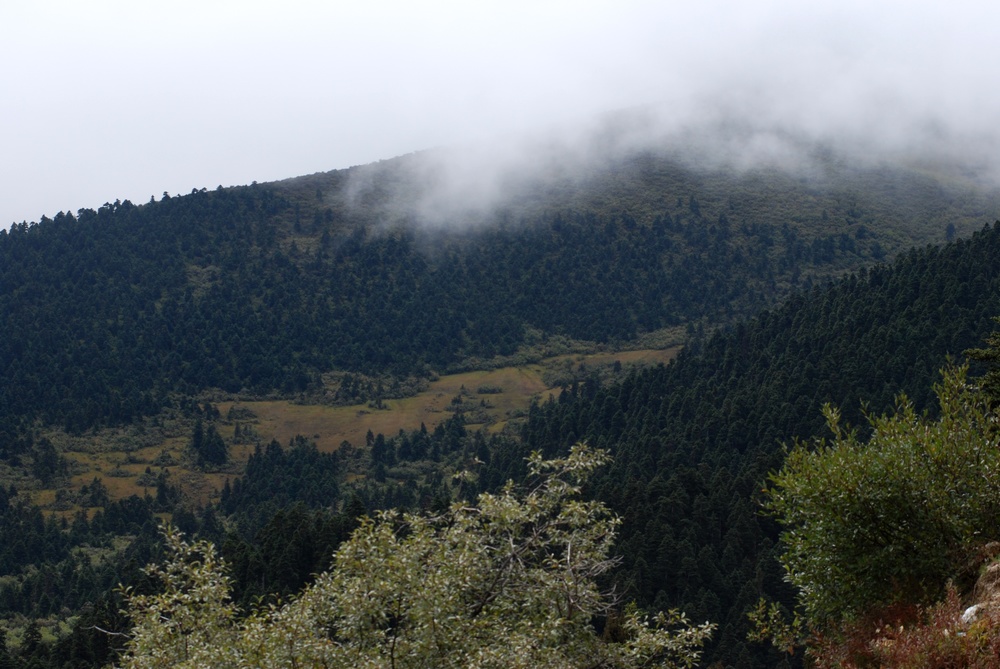 dsc_0485.jpg