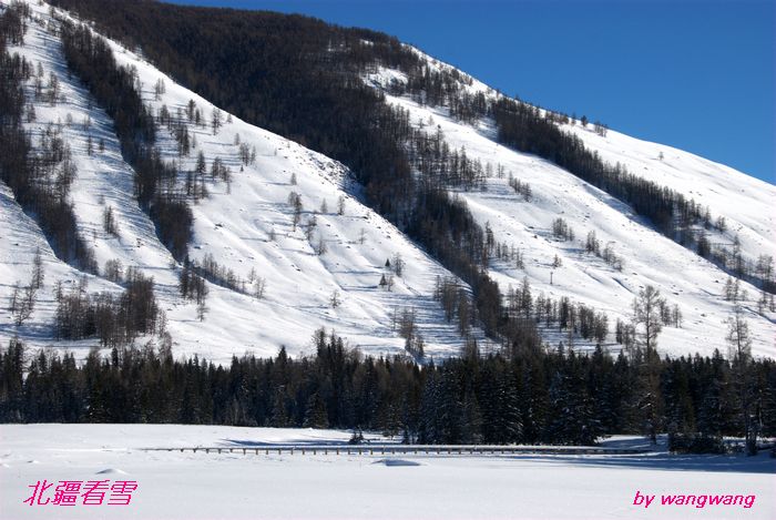 dsc_0167.jpg1.jpg
