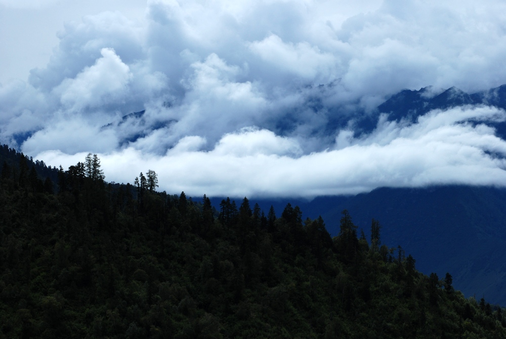 dsc_0545.jpg