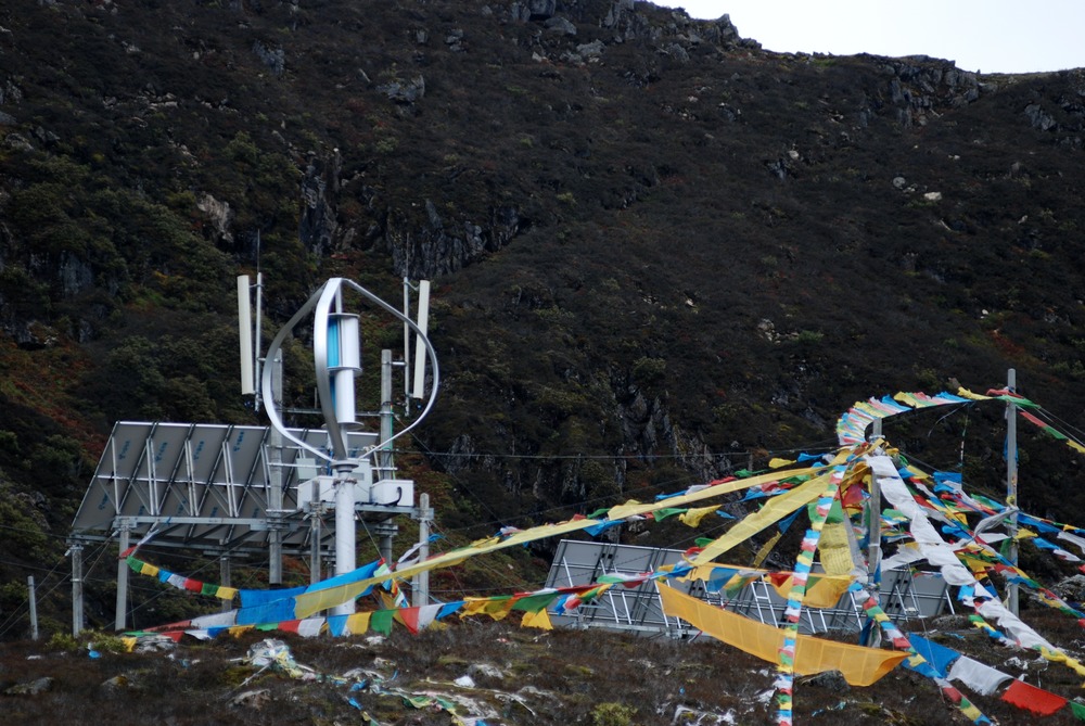 dsc_0516.jpg