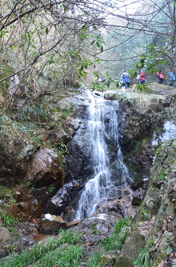 dsc_0170a.jpg