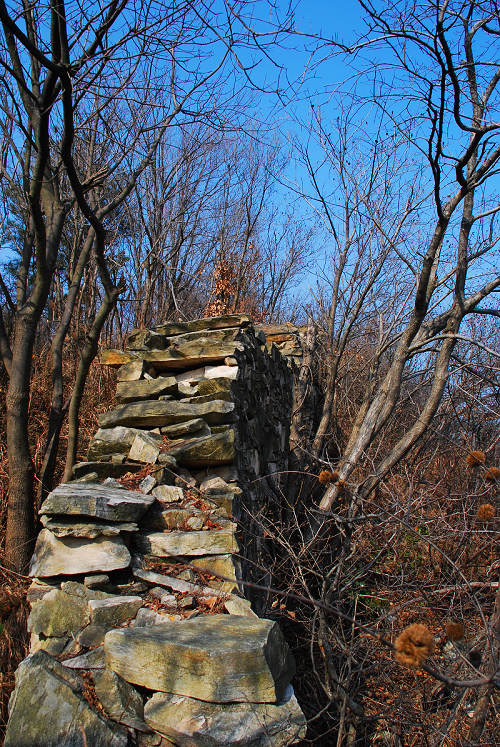 dsc_0948.jpg