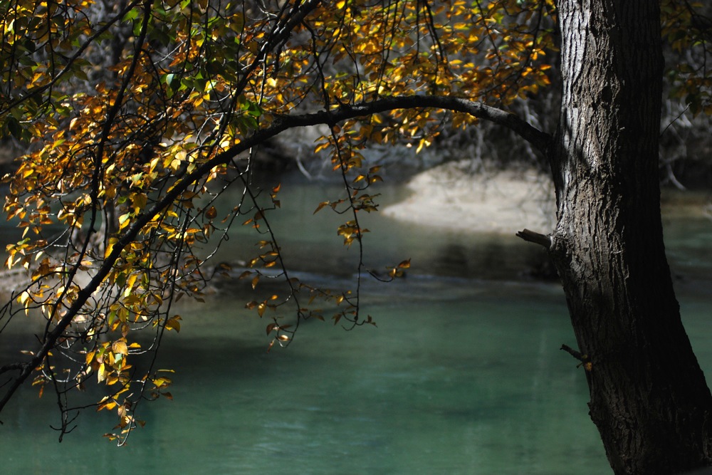 dsc_0998.jpg